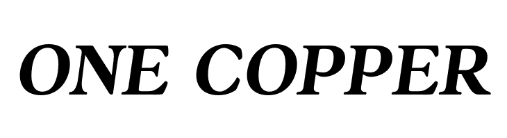 AnkoPersonalUse-BoldItalic  Free Fonts Download