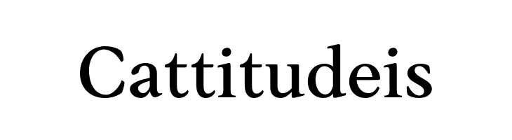 AnkoPersonalUse-Medium  Free Fonts Download