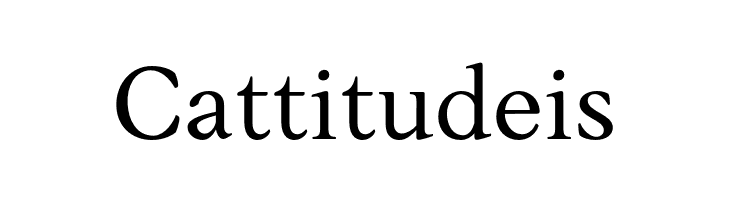 AnkoPersonalUse-Regular  Free Fonts Download