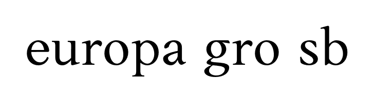 AnkoPersonalUse-Regular  Free Fonts Download