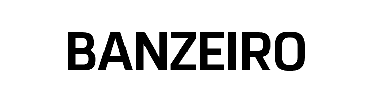 RemoveDEMO-Bold  Free Fonts Download