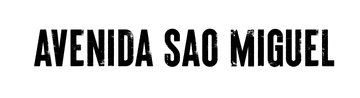 Brixton_Wood_PERSONAL_USE_ONLY Vector  Free Fonts Download