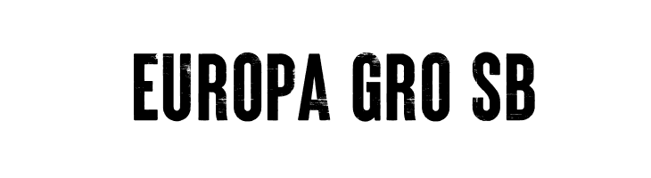 Brixton_Wood_PERSONAL_USE_ONLY Vector  Free Fonts Download