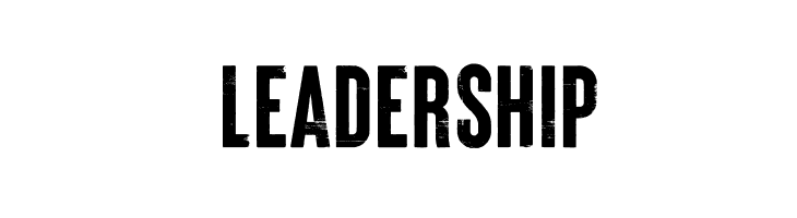 Brixton_Wood_PERSONAL_USE_ONLY Vector  Free Fonts Download