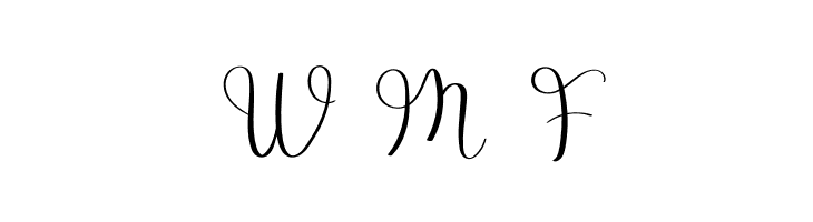 Exotic  Free Fonts Download