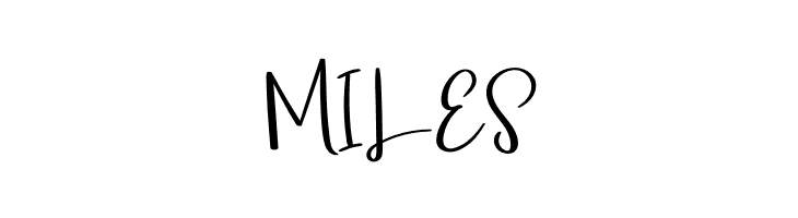 Minimalist Signature  Free Fonts Download