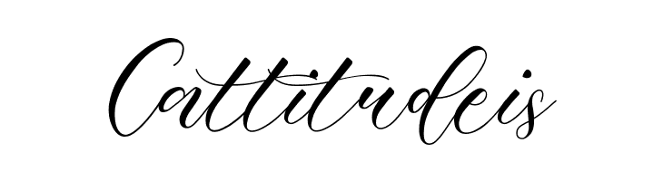 Beauty Beth  Free Fonts Download