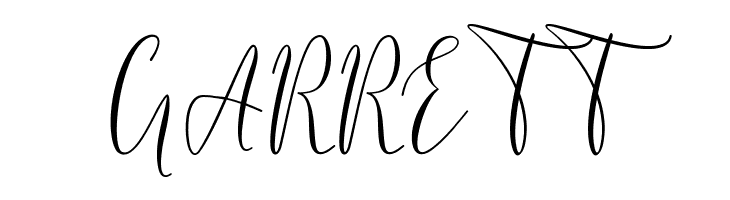 BerlinsaScript  Free Fonts Download