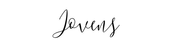 BerlinsaScript  Free Fonts Download