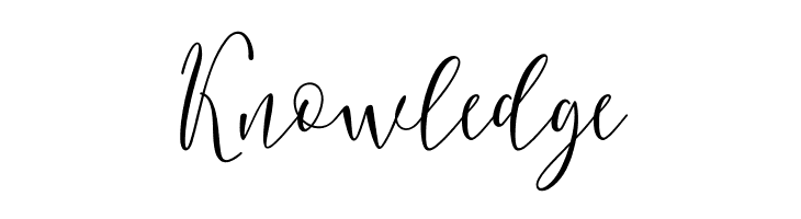 BerlinsaScript  Free Fonts Download