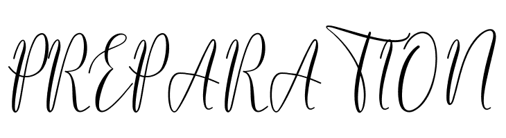 BerlinsaScript  Free Fonts Download