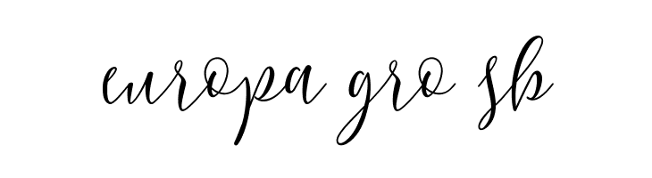 BerlinsaScript  Free Fonts Download