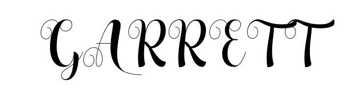 New Chapter  Free Fonts Download