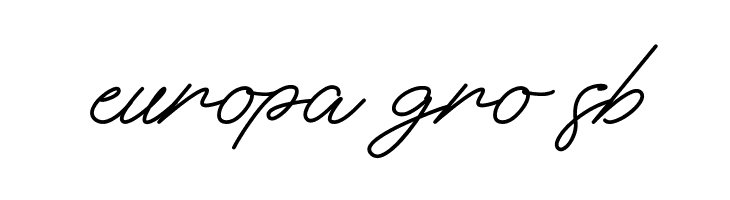 The Essential  Free Fonts Download