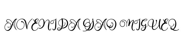 Alarate Script Personal Use  Free Fonts Download