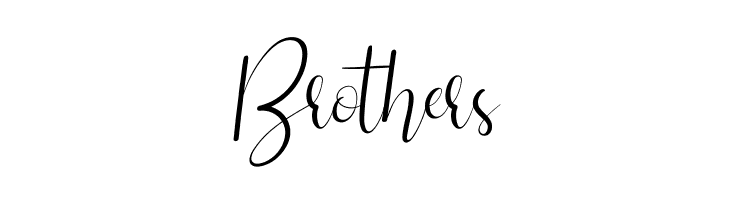 Silhouette Re 02 Personal Use  Free Fonts Download