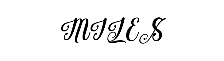 Brightlast  Free Fonts Download