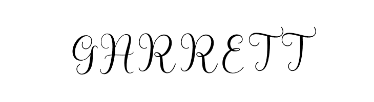 Hedaga  Free Fonts Download