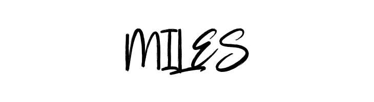 Cautions Brush  Free Fonts Download