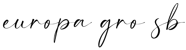 Eclat  Free Fonts Download