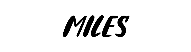 Blintzie  Free Fonts Download