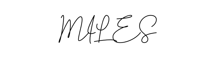 Brotherside Signature  Free Fonts Download