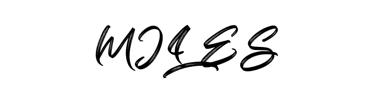 Bright Heritage Textured  Free Fonts Download