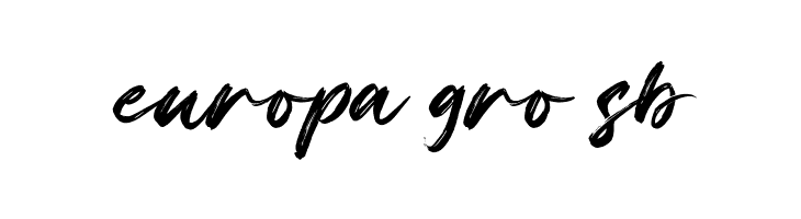 Changer  Free Fonts Download