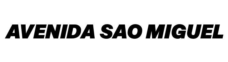 Mazin DEMO Black Italic  Free Fonts Download