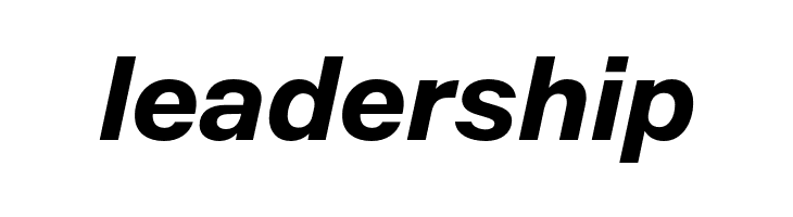 Mazin DEMO Bold Italic  Free Fonts Download