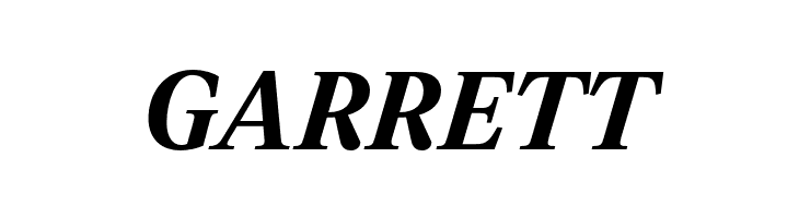 Leyendo DEMO Bold Italic  Free Fonts Download