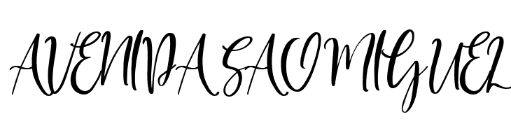 American Beauty Demo Regular  Free Fonts Download