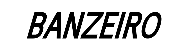 Ellando Italic  Free Fonts Download