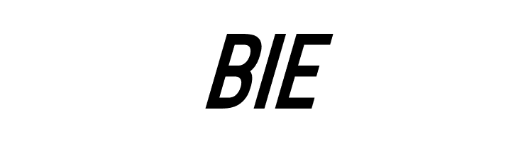 Ellando Italic  Free Fonts Download