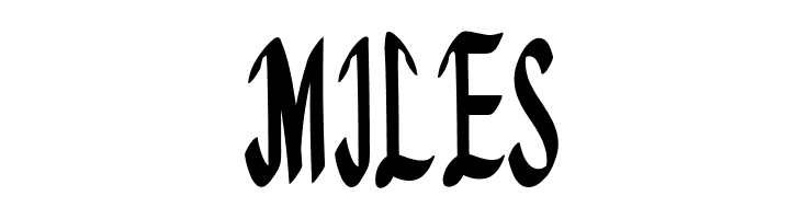 Bedeng Holis  Free Fonts Download