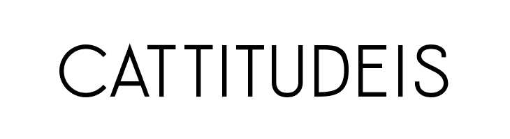 Funwork  Free Fonts Download