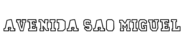 78 skate outline  Free Fonts Download