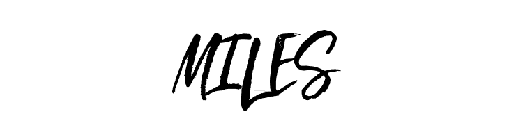 Beautiful Day  Free Fonts Download