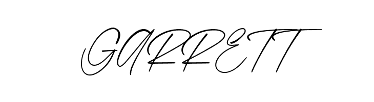 Barnett  Free Fonts Download