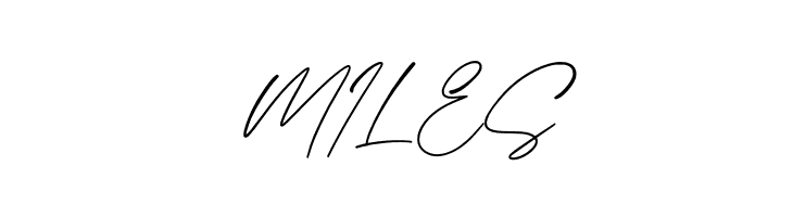 Barnett  Free Fonts Download