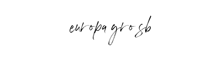 Flassty Demo  Free Fonts Download