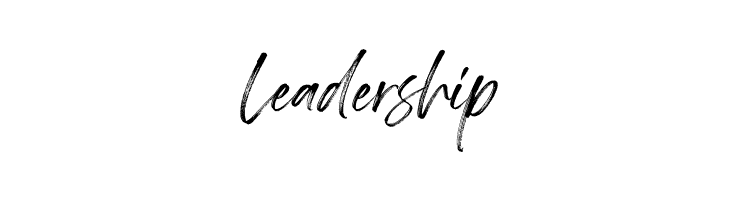 Springfield Demo  Free Fonts Download