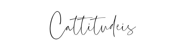 Everleigh Signature Script Reg  Free Fonts Download