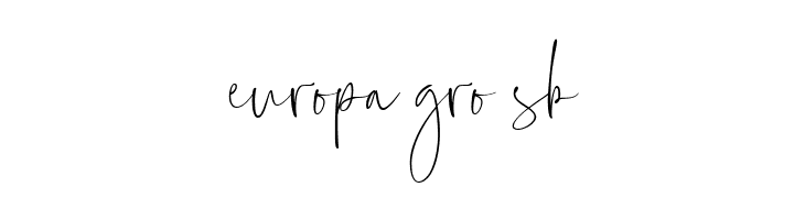 Everleigh Signature Script Reg  Free Fonts Download