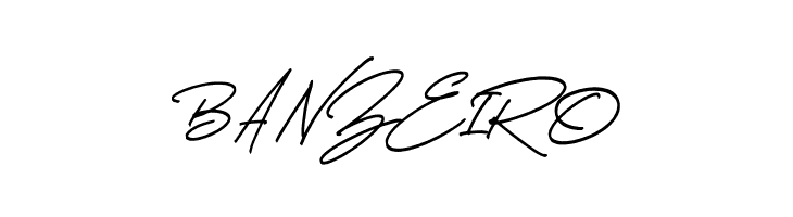 Thunder Stone Script Alt  Free Fonts Download