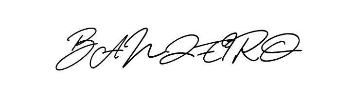 Thunder Stone Script  Free Fonts Download