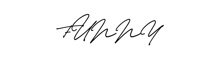 Thunder Stone Script  Free Fonts Download