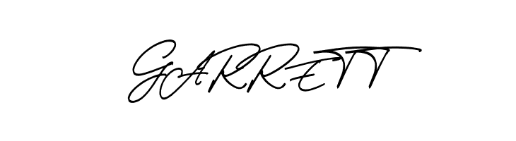 Thunder Stone Script  Free Fonts Download