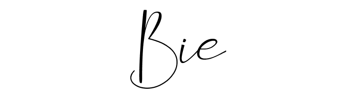 Dittoons  Free Fonts Download