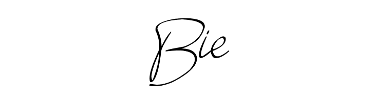 donatas script  Free Fonts Download